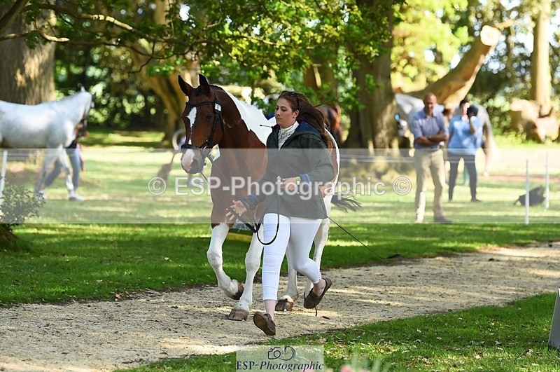 230524-163720-00980 - 107-KOLESTON_PERFECT-Torie_Sleep-WEDTrotUp+DR