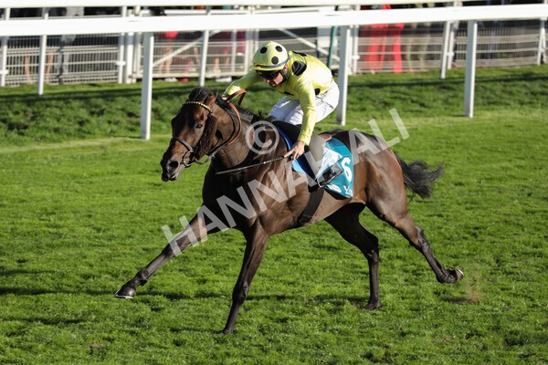 yr08102022r6-29 - Race 6 4.25pm The Watch Racing Online Free With Coral Handicap Stakes