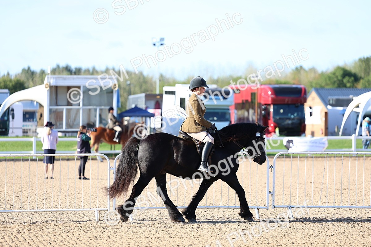 SBM_08738 - Class 302 - Ridden M&M - Large Breeds