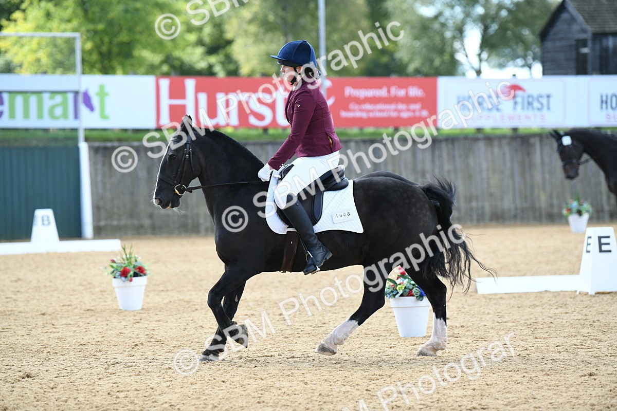 SBM_04618 - D7 Small Tour Championship Prelim 1