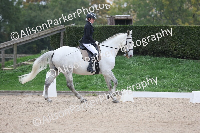 20251011-0426 - Class 4 - Novice 2