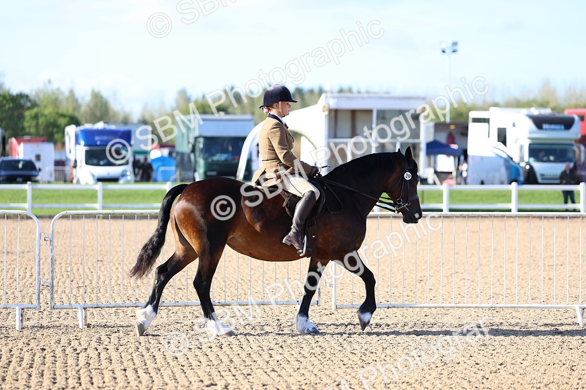 SBM_08705 - Class 302 - Ridden M&M - Large Breeds