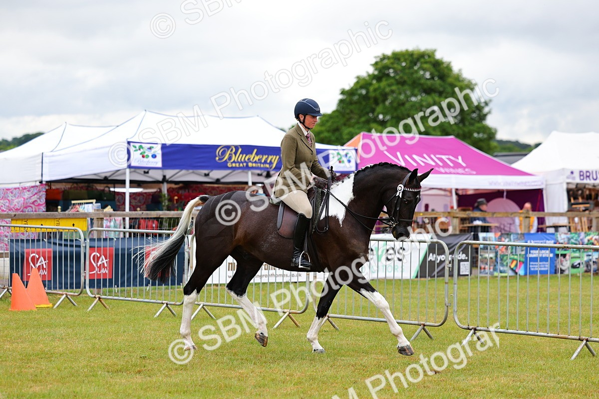 SBM_02476 - Class 9-11 Side Saddle including LIHS Rising Star Ladies Show Horse