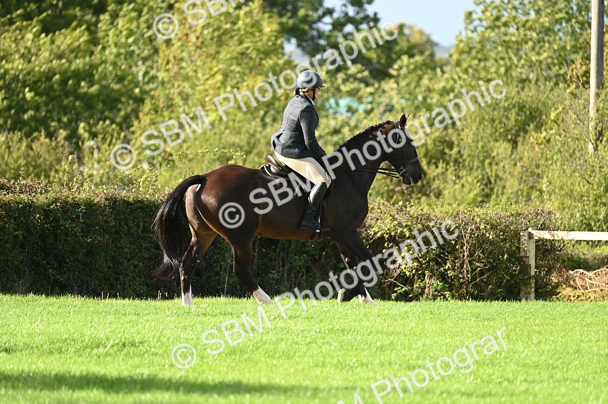 SBM_26430 - S6 - Novice & newcomer Ridden horse
