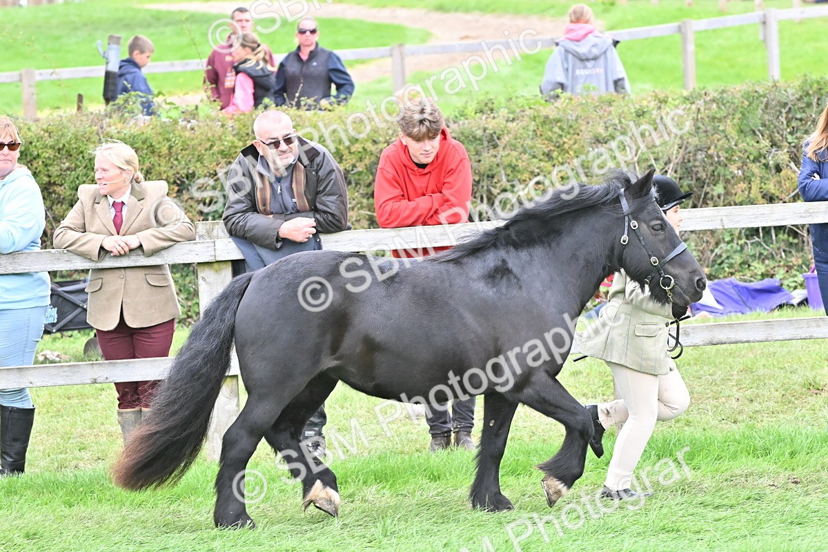 SBM_66787 - S41 - Junior Handler 8 Years & Under