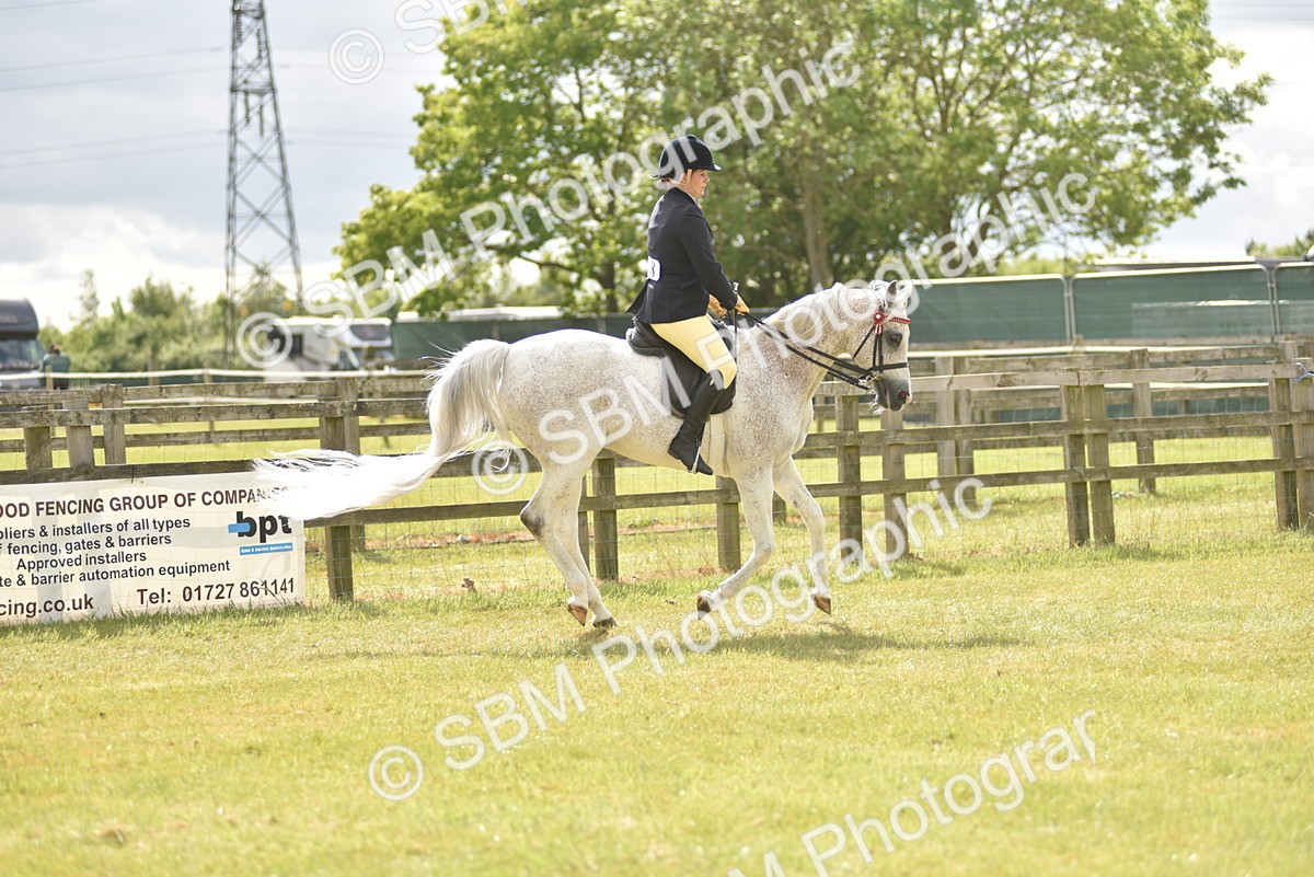 SBM_18115 - Class 122-123 - LIHS BHSA Raising Star Style and Performance Series