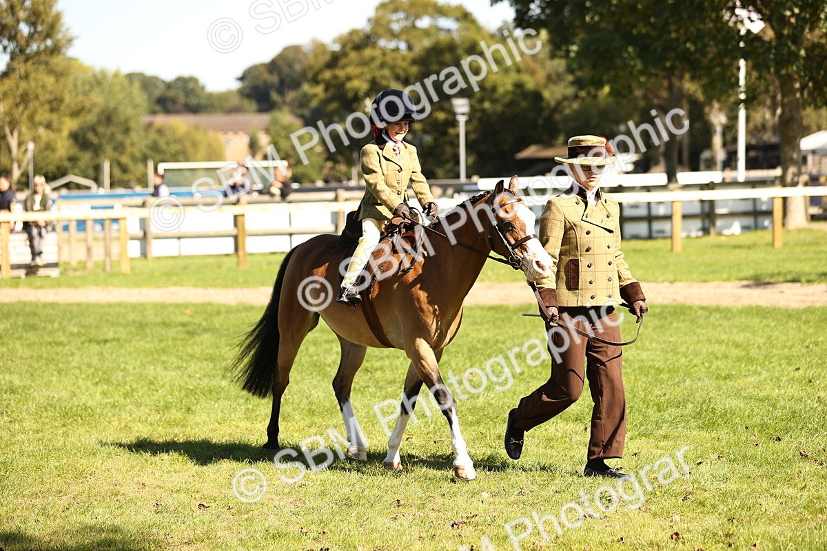 SBM_19293 - S3 - TSR Ridden Pony Showing