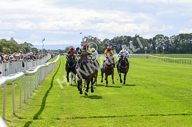 060625-Race 5-Miss Brazen-4922
