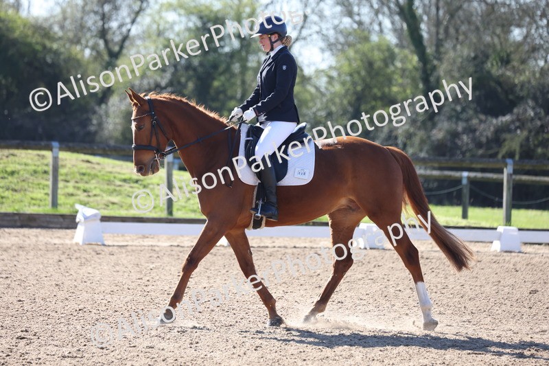 20260318-0165 - Class 2 - Intro 4