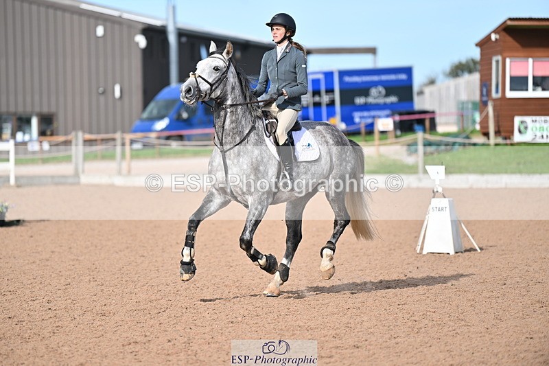 231015A-140254-08502 - Cls 31 Blue Chip Grade B & C Champ Quali