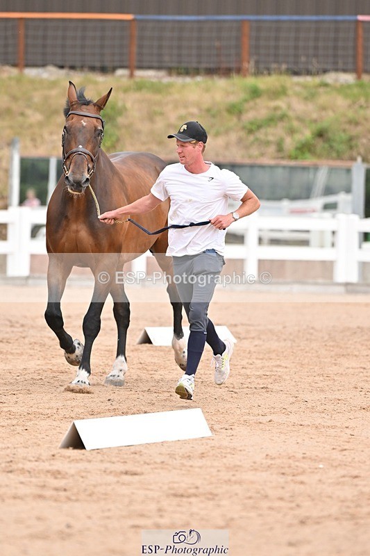 250716-151925-01867 - Trot Up 2.30 to 3.30