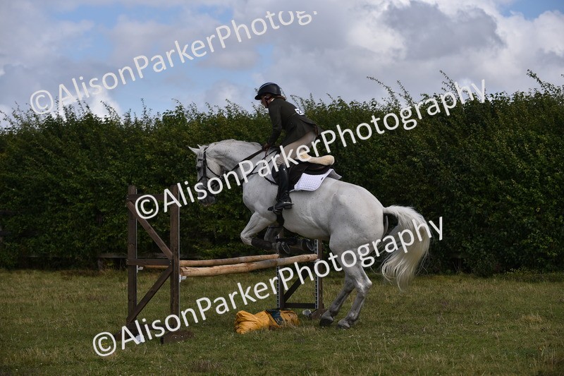 20250831-4113 - Class 13 - Working Hunter Horse or Pony