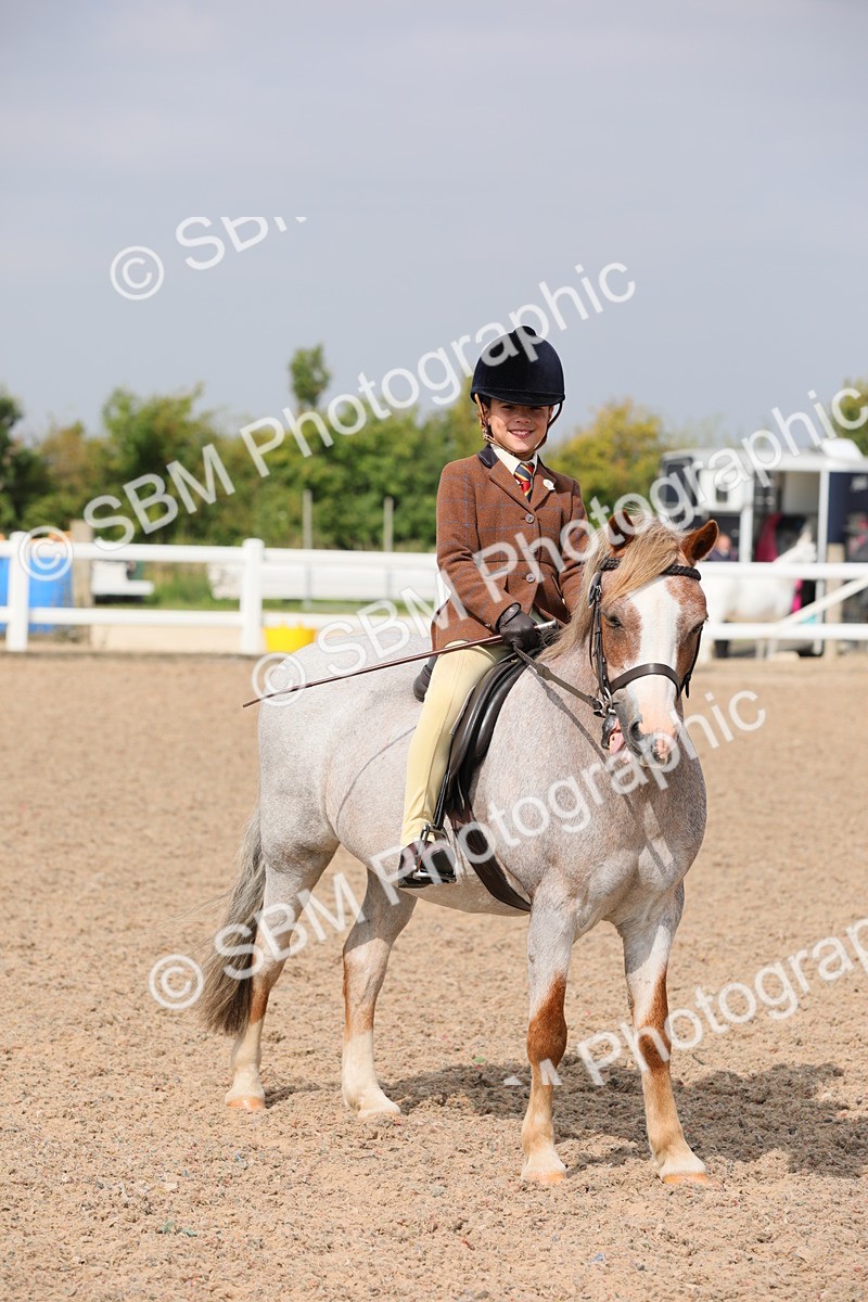 SBM_12824 - Class 307 Ridden Coloured Pony