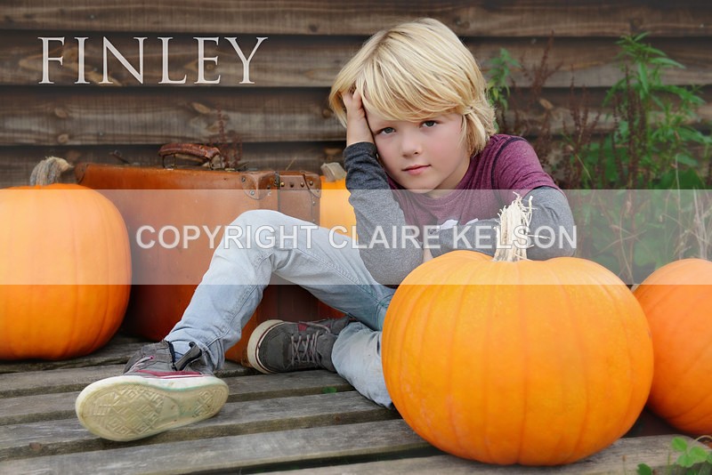 DSC_8786-3b - SEASONAL OUTDOOR SHOOTS - PUMPKINS