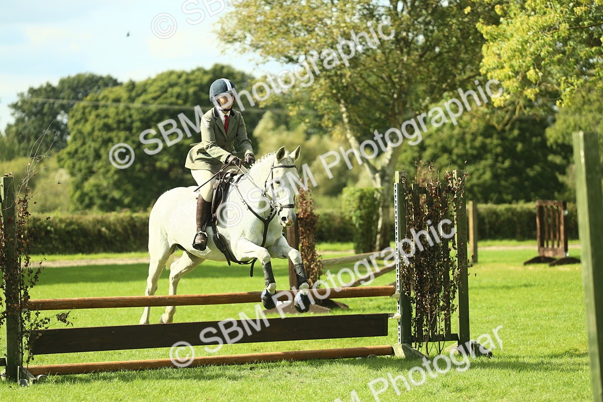 SBM_47918 - S32 - Novice & Newcomers Working Hunter