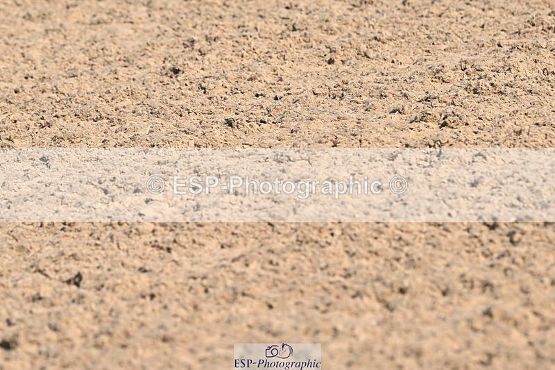 240509A-092734-00555 - Cls 8 Foxhunter