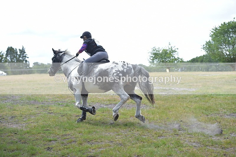 NGP_8900 - Time 12:27 to 12:33