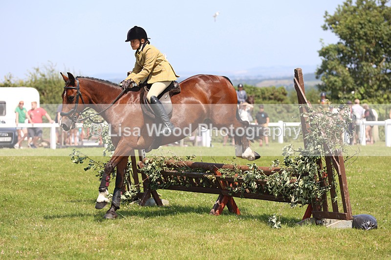 JPP_2997 - Class 22: Working Hunter 70cm