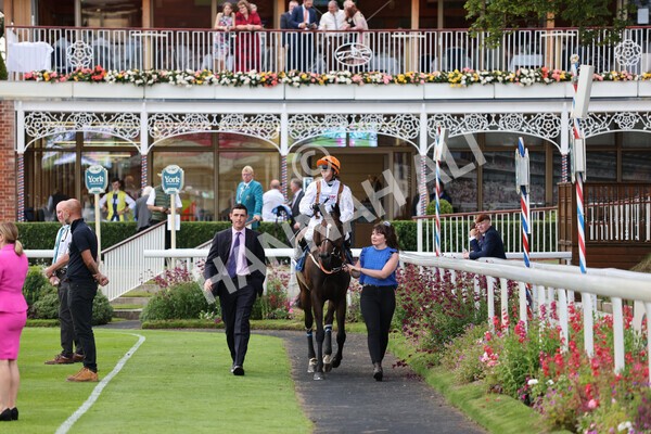 yr23072021r5-25 - Race 5 8.00pm Gallop Racing Stakes