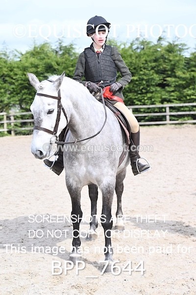 BPP_7644 - RING 1  (RIDDEN HORSES / IN HAND / VETERAN ETC)