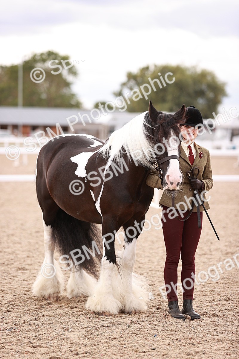 SBM_18432 - Class 419 - Best Maine and Tail - Jnr