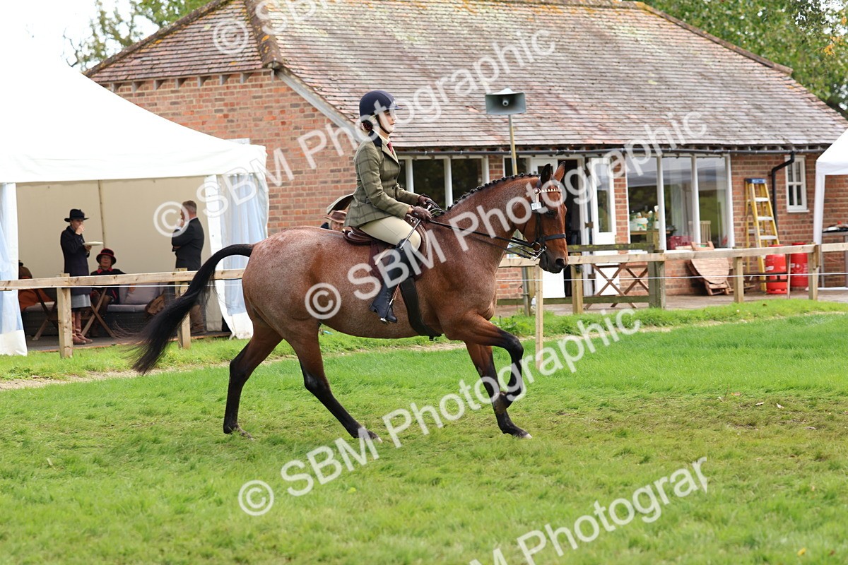 SBM_45213 - S27 - Young Veteran Ridden