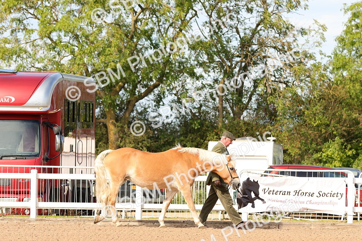 SBM_17978 - Class 707 - IH Groom - Helpers Glass
