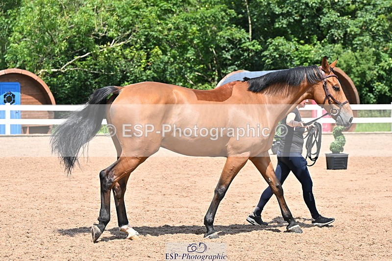 240718A-105317-01802 - Trot Up 1pm to 2pm