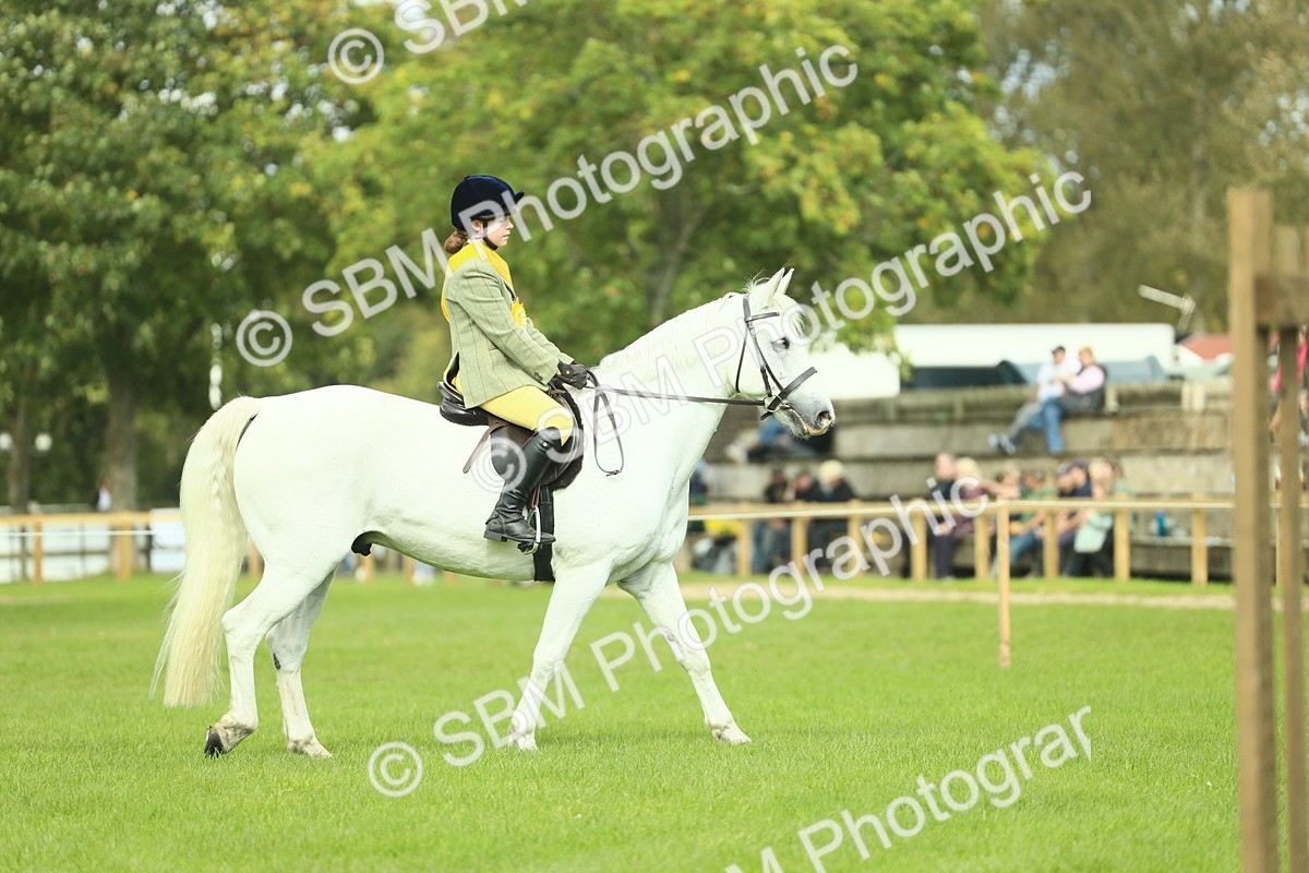 SBM_44849 - Working Hunter Pony Supreme Championship