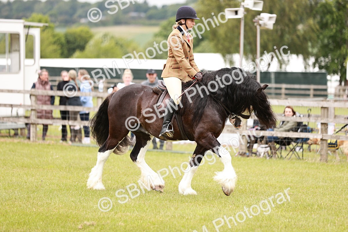 SBM_06184 - Class 39-41 TGCA In Hand and Ridden