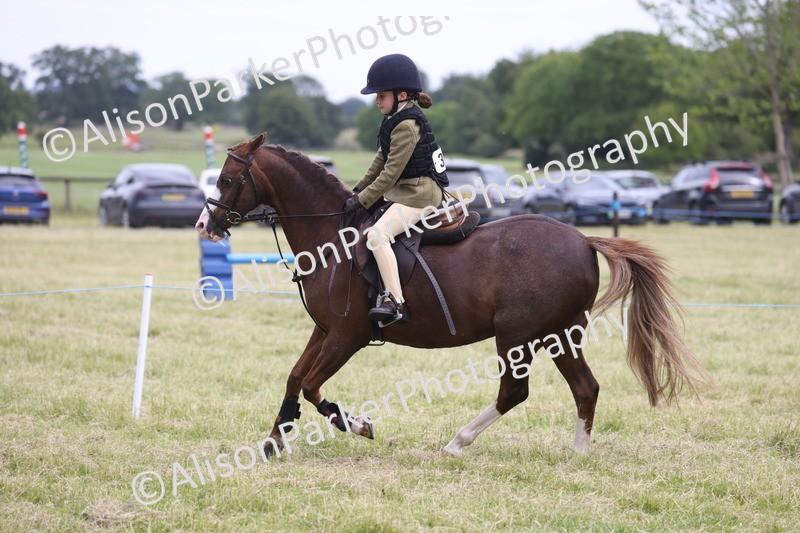 20260614-3023 - Class 22 - Open Working Hunter
