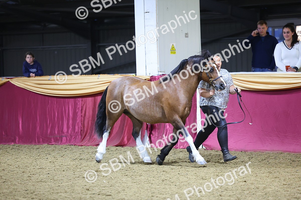 0B8A4404 - Class N M&M Champ