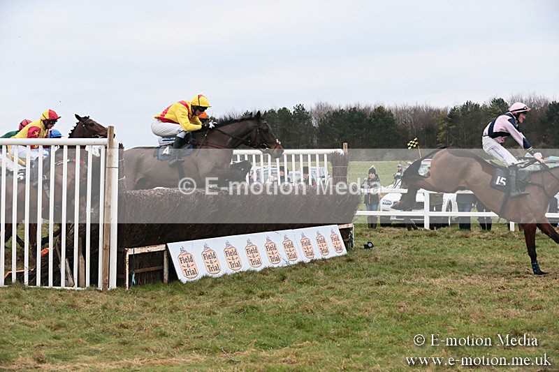 PtP 060119 461 - Larkhill Racing Club - Point-to-Point- 06/01/2019