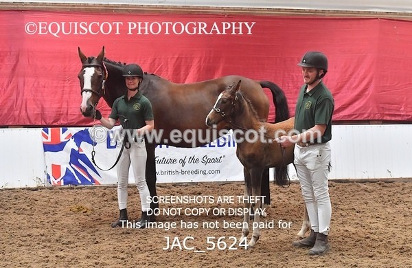 JAC_5624 - 13 Zi Real McCoy