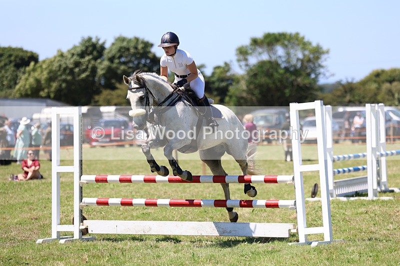 3E7A5591 - Class 9: Senior British Novice/90cm open