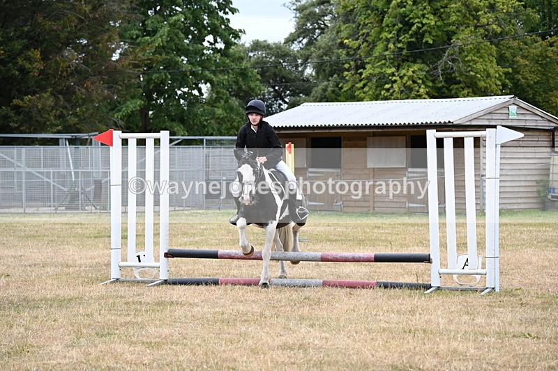 WJ6_5301 - Class 12 Minimus Jumping 45cm