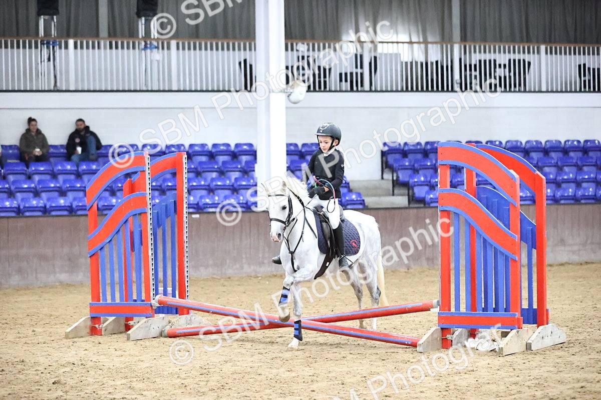 SBM_000072 - Class 1 - Fox Farriers 30cm