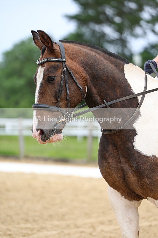 3E7A9213 - Class 2: Intro 1 2024 Section B