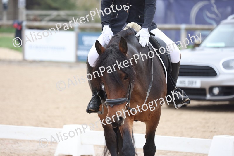 20251012-0539 - Class 4 - Novice 6