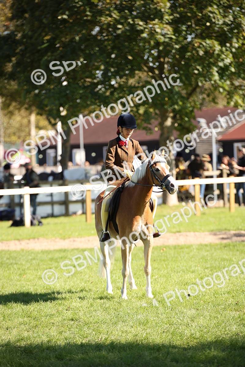 SBM_39035 - S11 - Best Ridden Horse & Pony