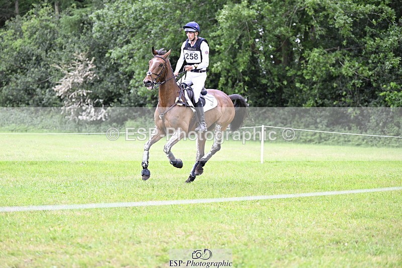 250524A-160754-14486 - C-258-Bill.Levett-ITALIAN.HARLEQUIN.NJ