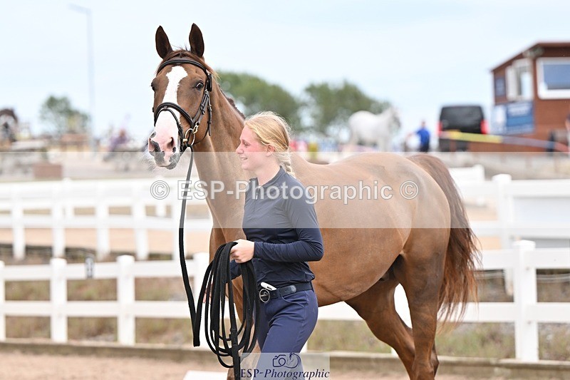 250716-161518-02526 - Trot Up 3.30 to 4.30