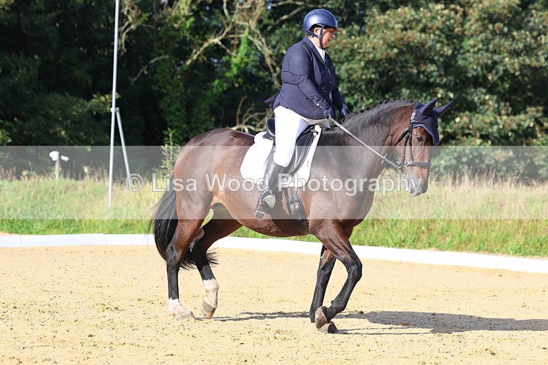 3E7A2056 - Class 1: Intro 4 2024 section A