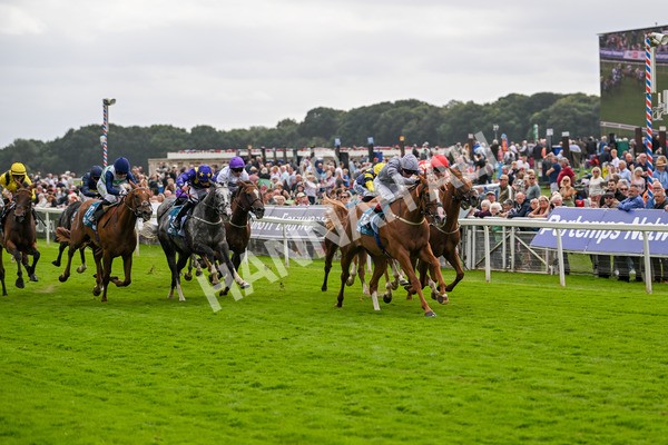 220824-Race 3-Thunder Run-7029 - Race 3 3.00pm Clipper Handicap