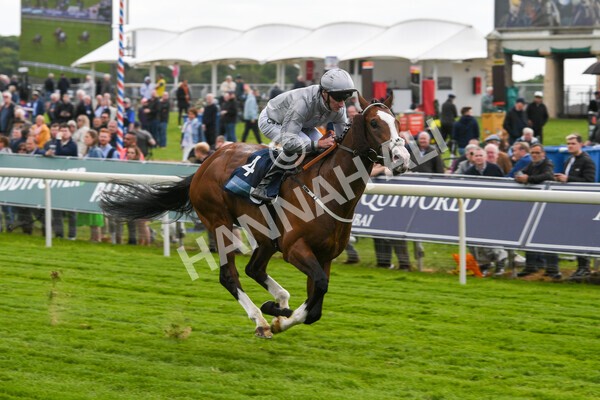 yr12052022r5-12 - Race 5 4.10pm British Stallion Studs EBF Westow Stakes