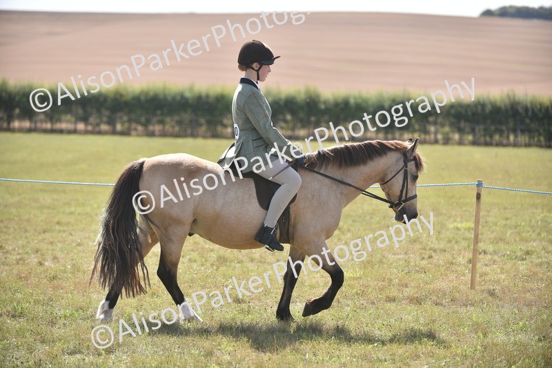 20260906-2643 - Class 12 - 14.2hh and Under