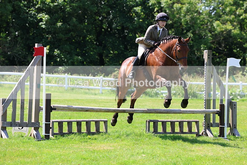 3E7A6956 - Class 30: Novice Working Hunter