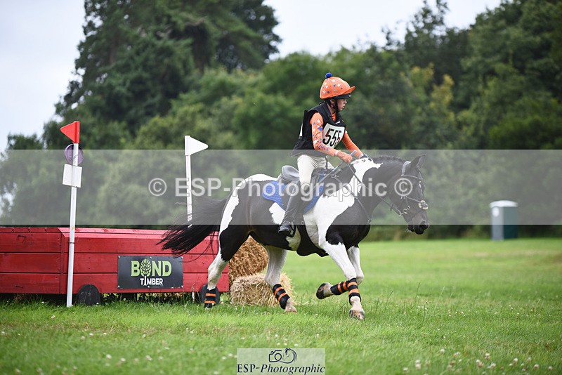 240804-144036-14816 - 555-Jack_Wish-WESTERLAKE_BUTTONWEED