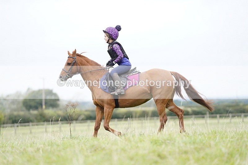 _DSC7281 - Time at Photographer 10:43 to 11:19