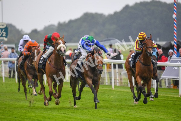 140723-Race 1-Northern Express-0039 - Race 1 2.05pm William Hill Epic Value Handicap